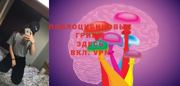 MDMA Premium VHQ Белокуриха