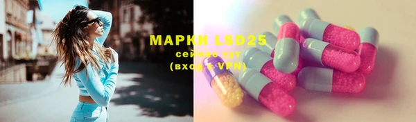 сатива Белоозёрский